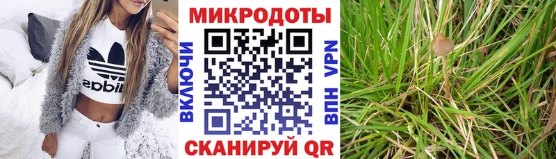 Псилоцибиновые грибы Psilocybine cubensis  Шумерля 