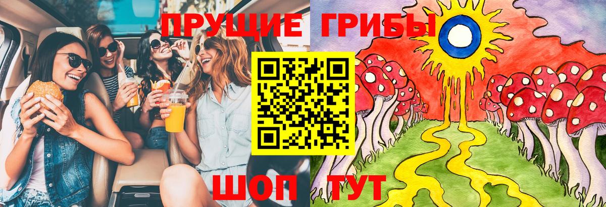 Галлюциногенные грибы Psilocybe Шумерля