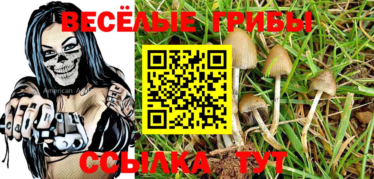 Галлюциногенные грибы ЛСД  Шумерля  Галлюциногенные грибы Cubensis 